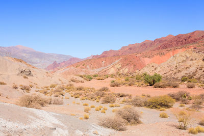 Scenic view of desert against clear blue sky