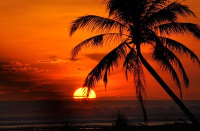 Silhouette coconut palm trees against orange sky during sunset