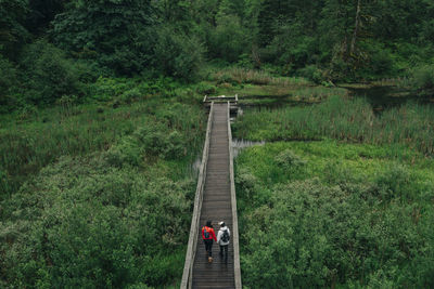 High angle view of people walking on footbridge in forest