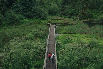 A young couple enjoys a hike on a boardwalk in the pacific northwest.