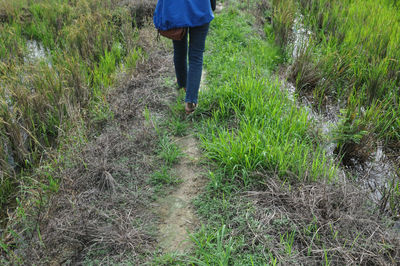 Low section of woman walking on field