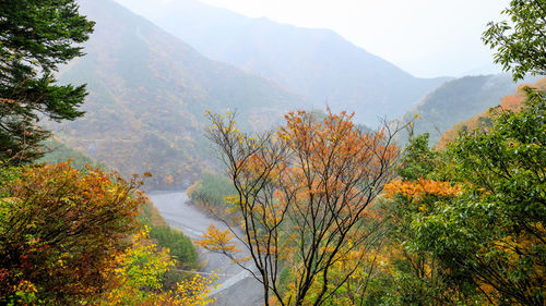 Scenic of japan in the rainy day with stream and small wooden bridge in autumn season and mountain 