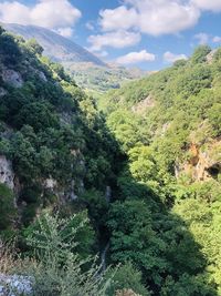 Scenic view of forest against sky