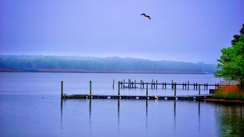 Scenic view of sea against clear sky