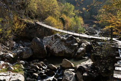 Stream flowing through rocks in forest