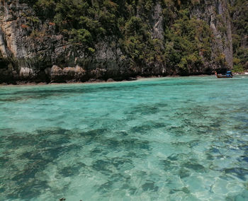 Scenic view of sea against trees