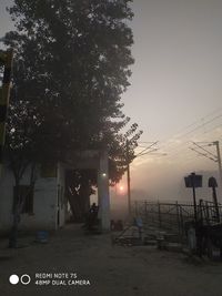 Trees on illuminated street against sky during sunset