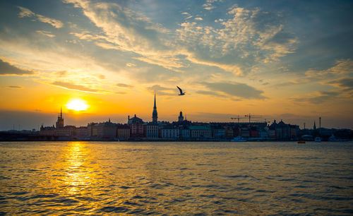 Scenic view of sea during sunset