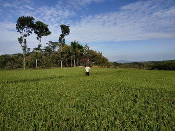 Scenic view of agricultural land against sky