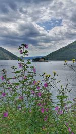 Scenic view of sea against cloudy sky