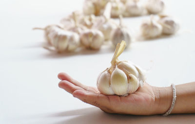 Cropped hand of woman holding garlic at home