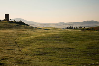 Scenic view of field against sky