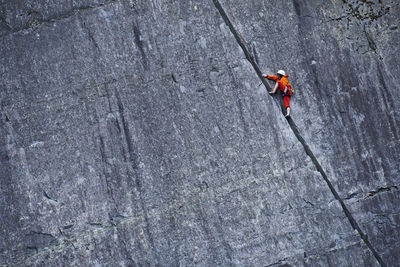 Woman climbing up steep rock face at slate quarry in north wales