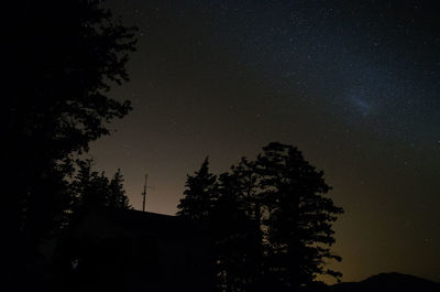 Low angle view of silhouette trees against sky at night