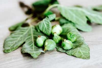 Close-up of green fruits on table