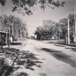 Empty road along trees