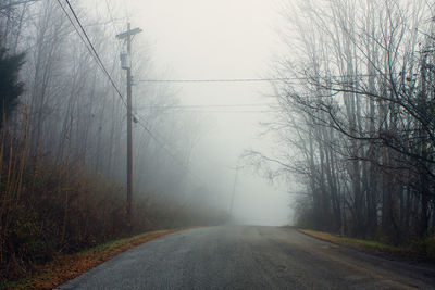 Road amidst bare trees in foggy weather