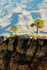 Rock formations on landscape