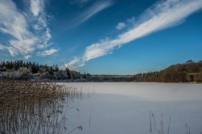 View over frozen lake kulsø, near bryrup, jutland