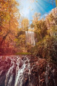 Scenic view of waterfall in forest during autumn