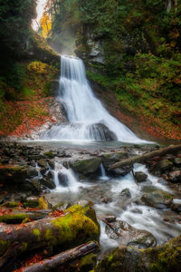 Scenic view of waterfall in forest