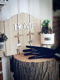 Close-up of potted plant on table at home