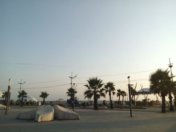 Palm trees on street against clear sky at sunset