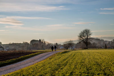 Scenic view of agricultural field against sky