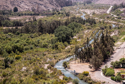 High angle view of river along trees