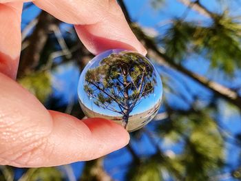 Close-up of hand holding crystal ball with tree reflection against blue sky
