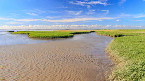 Scenic view of beach against sky