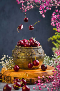 Close-up of red berries on plant