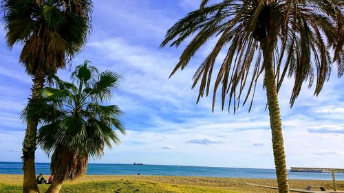 Palm trees on beach against sky