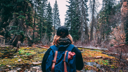 Rear view of woman against trees in forest