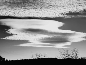 Low angle view of silhouette trees against sky