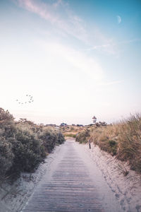 Road amidst trees against sky