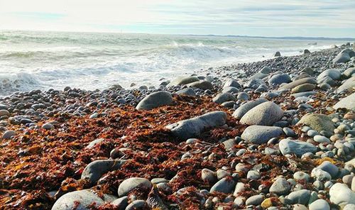 Rocks on beach