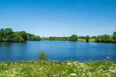 Scenic view of lake against clear blue sky