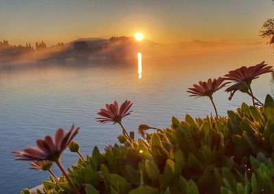 Scenic view of lake against sky during sunset