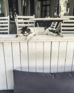 Cat sleeping on retaining wall