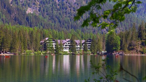 Scenic view of lake by trees and plants