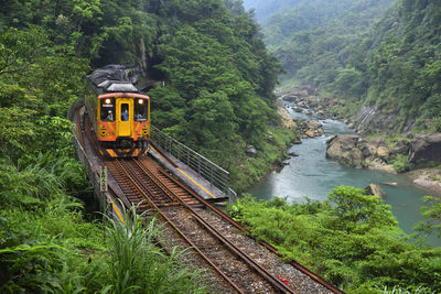 Railroad tracks by river amidst trees in forest