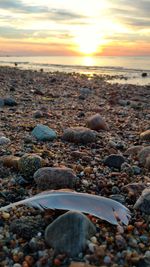 Scenic view of beach at sunset