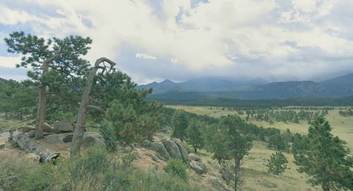 Scenic view of landscape against sky