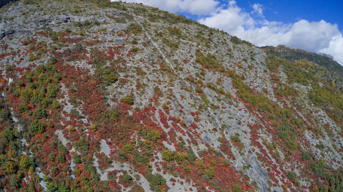 Low angle view of mountain against sky