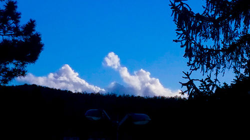 Low angle view of silhouette trees on field against blue sky