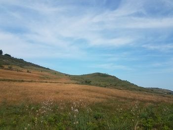 Scenic view of landscape against sky