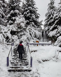 Rear view of man walking on snow covered plants