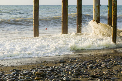 Scenic view of sea shore