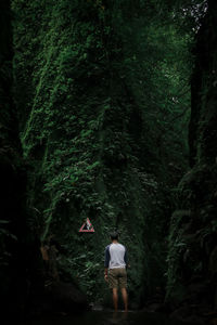 Rear view of people walking in forest